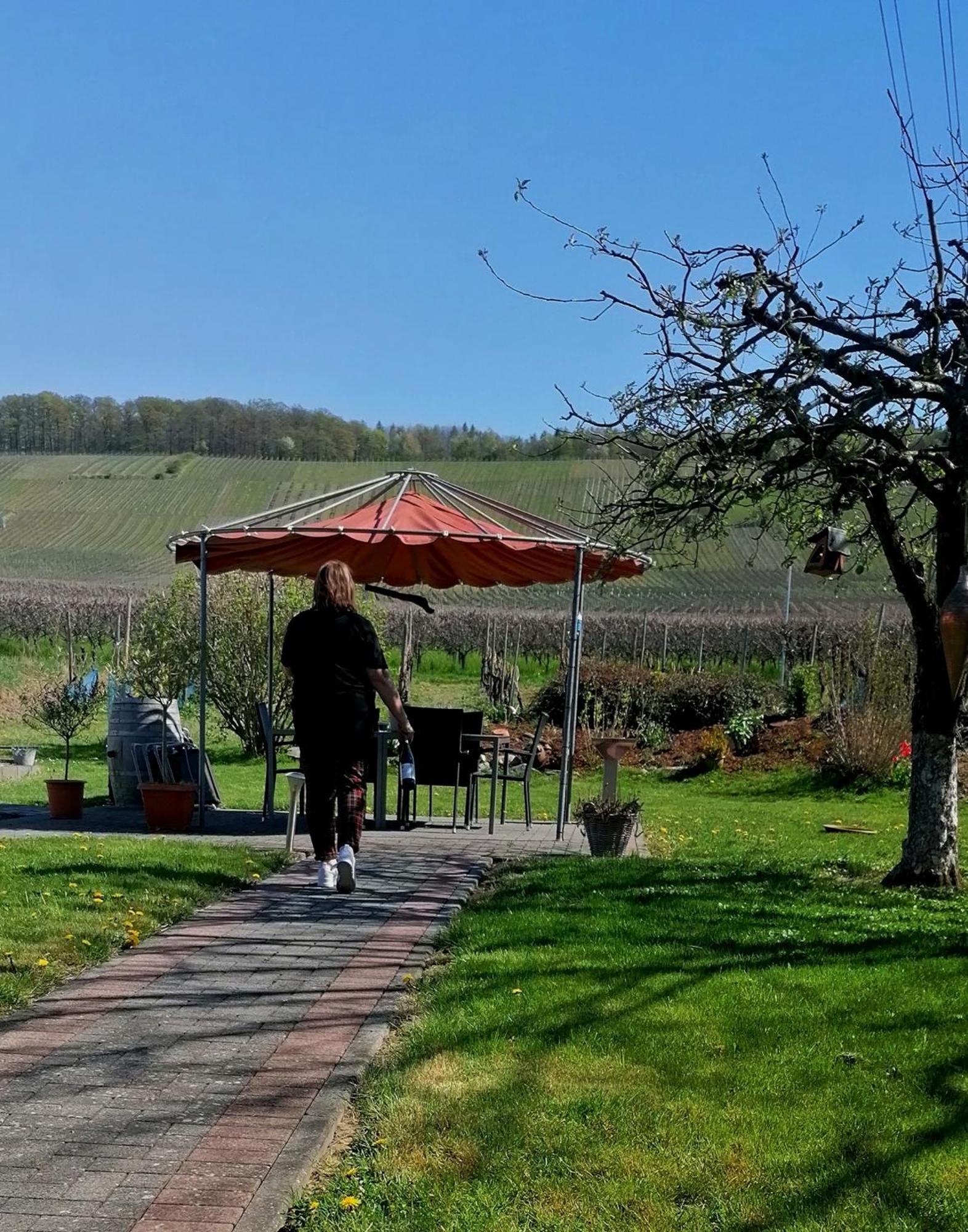 Weingut Tiliahof Acomodação com café da manhã Brauneberg Exterior foto