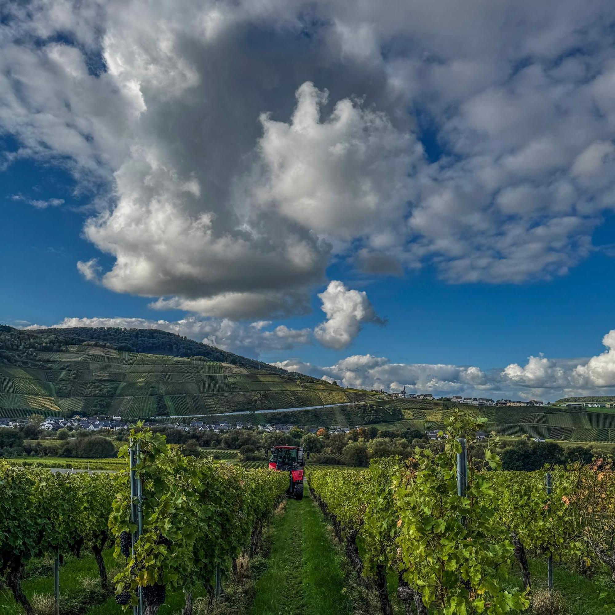 Weingut Tiliahof Acomodação com café da manhã Brauneberg Exterior foto