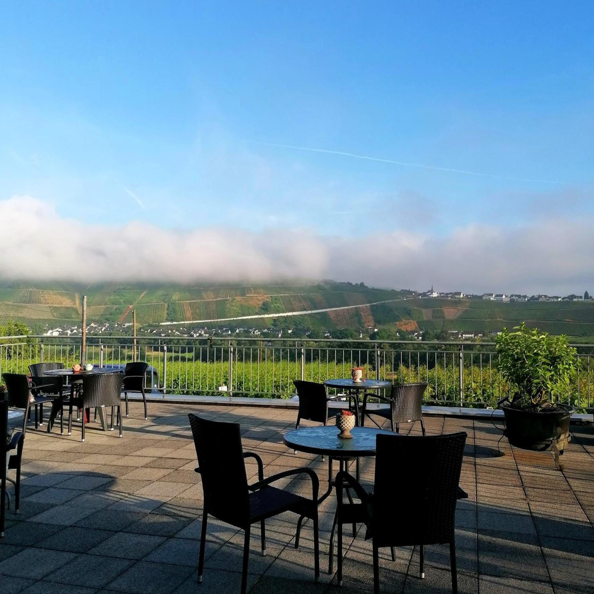 Weingut Tiliahof Acomodação com café da manhã Brauneberg Exterior foto